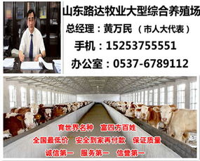 山東肉牛養殖市場動態與自費出國留學中介服務的對比分析