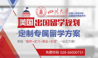 成都學生申請美國MPP項目條件解析與自費留學中介服務選擇指南